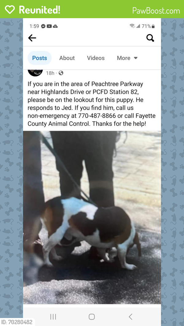 Reunited Male Dog last seen Peachtree Parkway/Rosemont/ Highlands, Peachtree City, GA 30269