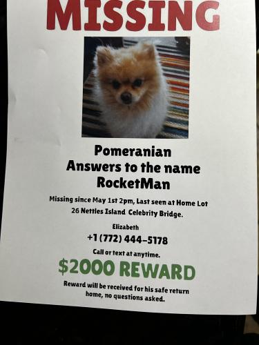 Lost Male Dog last seen Nettles Island Lot 26, Jensen Beach, FL 34957