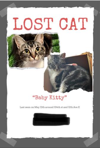 Lost Female Cat last seen 104th st and 12th Ave E, Midland, WA 98445
