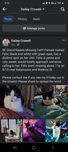 Lost Female Cat last seen Watkins and Kalamazoo , Grand Rapids, MI 49507