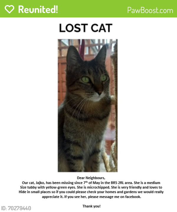 Reunited Female Cat last seen Near Mickleham Road, Greater London, England BR5 2RL