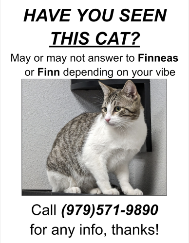 Lost Male Cat last seen Most likely in the neighborhood around Oakwood and College View Dr, Bryan, TX 77802
