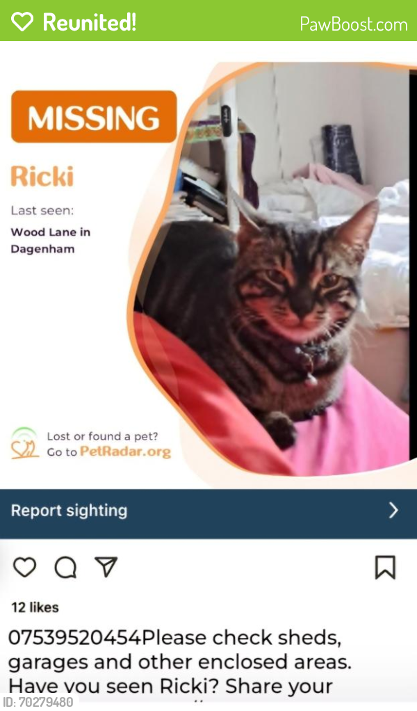 Reunited Male Cat last seen Morrisons , Greater London, England RM10 7RP