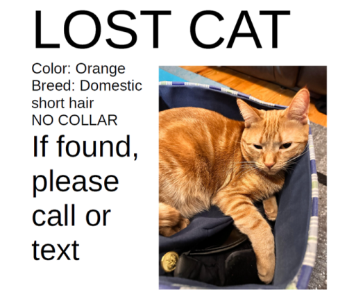 Lost Female Cat last seen Near Appleridge Dr, Ann Arbor, MI, 48103, Ann Arbor, MI 48103