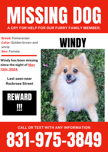 Lost Female Dog last seen Soledad Ca Rockrose Street, Soledad, CA 93960