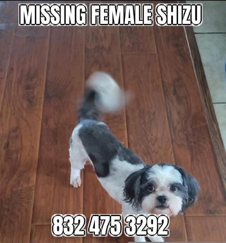 Lost Female Dog last seen Dixi farm rd, Houston, TX 77089