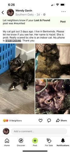 Lost Female Cat last seen Bentwinds , Fuquay-Varina, NC 27526