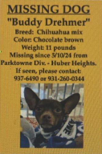 Lost Male Dog last seen Parktown Subdivision,/Huber Heights/Tipp City, Huber Heights, OH 45371