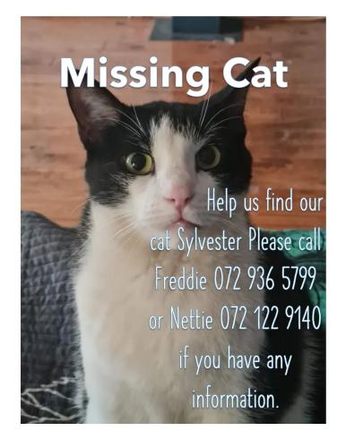 Lost Male Cat last seen Mulberry avenue, Kempton Park, GP 1619
