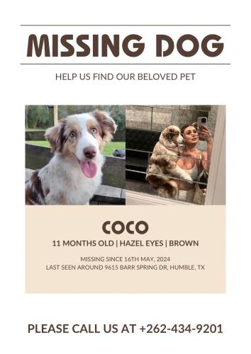 Lost Female Dog last seen Humble, Harris County, TX 77396