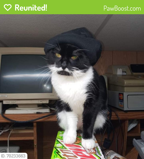 Reunited Male Cat last seen New Haven , Fort Wayne, IN 46803