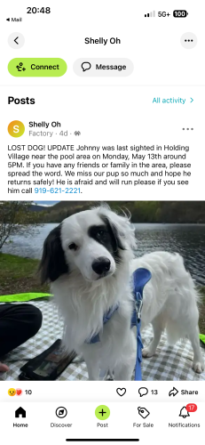 Lost Male Dog last seen Burlington mill rd, near Culver’s burger place, Wake Forest, NC 27587