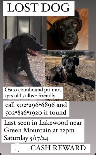 Lost Male Dog last seen Near s Briarwood Dr, lakewood, co, Lakewood, CO 80228