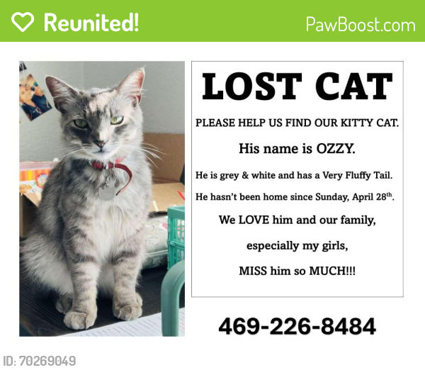 Reunited Male Cat last seen Near LESLI DR, Royse City, TX 75189