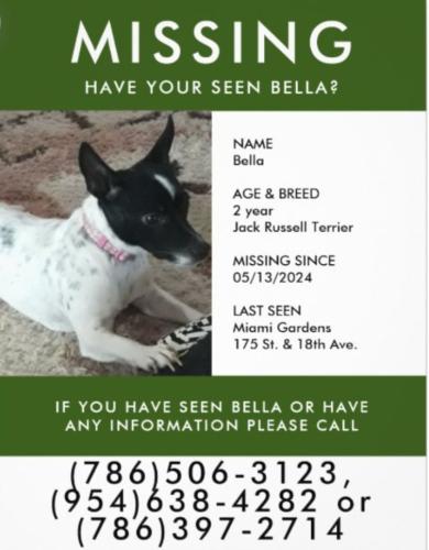 Lost Female Dog last seen Near street and 18th Avenue Miami Gardens Florida 33056, Miami Gardens, FL 33056