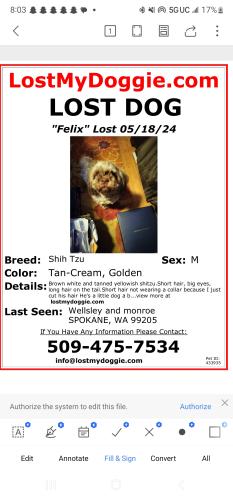 Lost Male Dog last seen W e l l s l e y  & M o n r o e, Spokane, WA 99205
