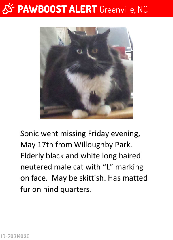 Lost Male Cat last seen Willoughby Park, Greenville, NC 28590