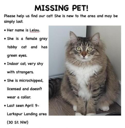 Lost Female Cat last seen Near St. NW, Larkspur Landing, Edmonton, AB T6T