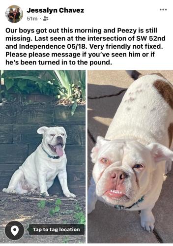 Lost Male Dog last seen 48th and Woodward, Oklahoma City, OK 73119