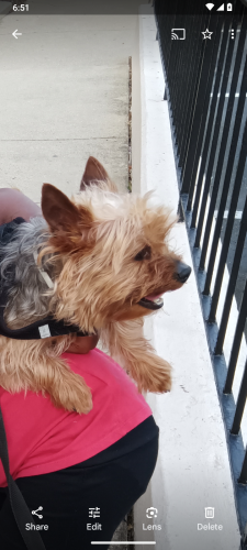 Lost Male Other last seen Suitland, Forestville, MD 20747