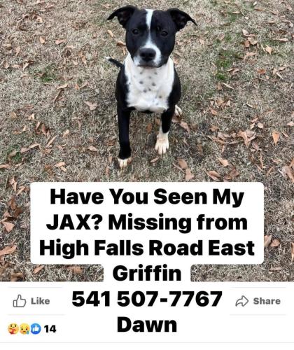 Lost Male Dog last seen High falls road , High Falls Rd, GA 30257