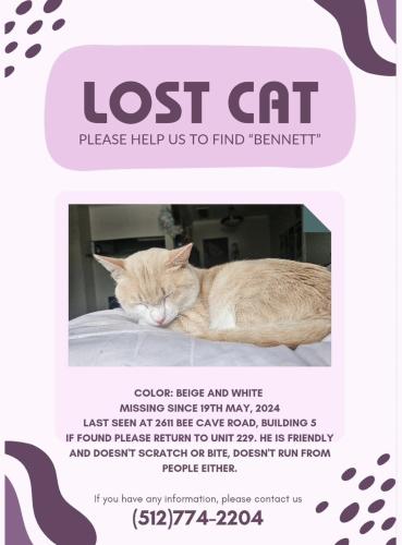 Lost Male Cat last seen Near beecaves rd, Austin, TX 78746
