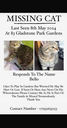 Lost Male Cat last seen Gladstone park , Greater London, England NW2