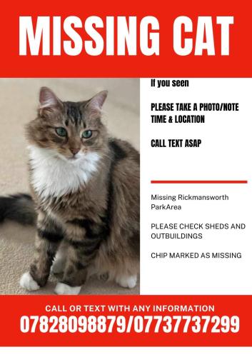 Lost Female Cat last seen Rickmansworth Park Area, Rickmansworth, England 