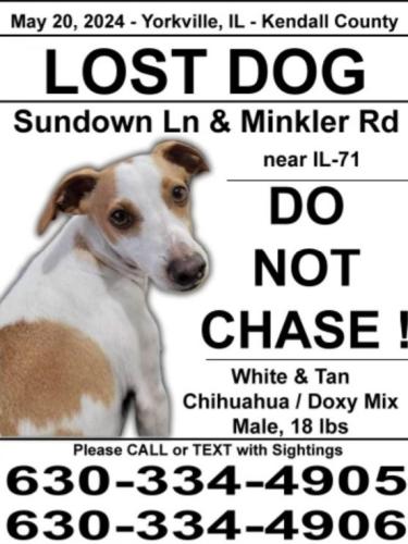 Lost Male Dog last seen Sundown yorkville, Yorkville, IL 60560