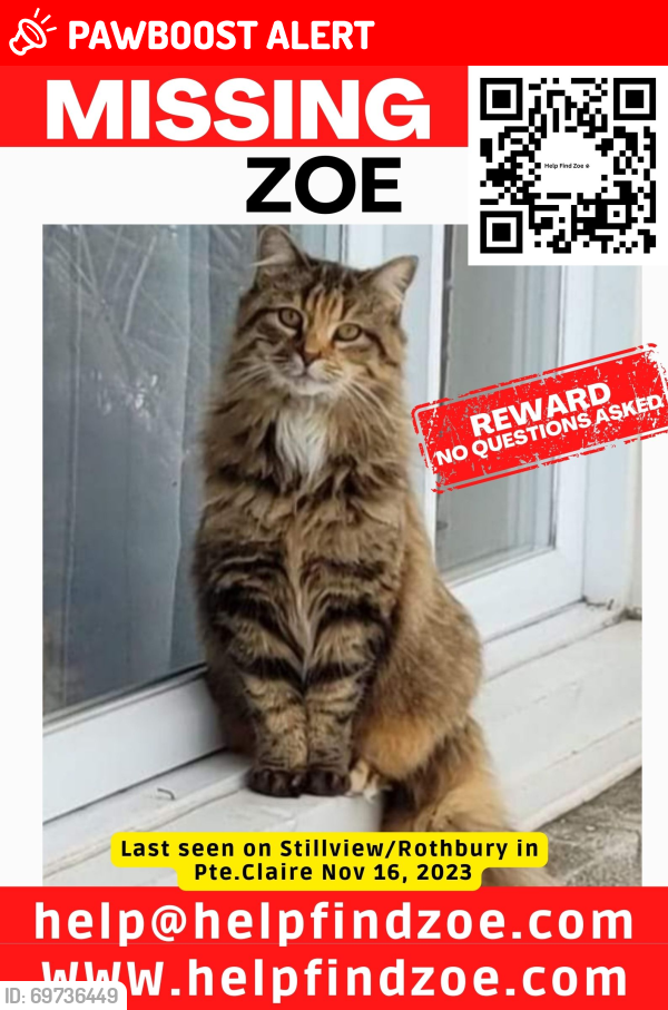 Lost Female Cat last seen Near Stillview Avenue, Pointe Claire, QC, Pointe-Claire, QC H9R 2X8