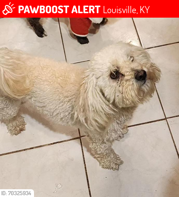Lost Male Dog last seen Greenbelt and tradeport, Louisville, KY 40272