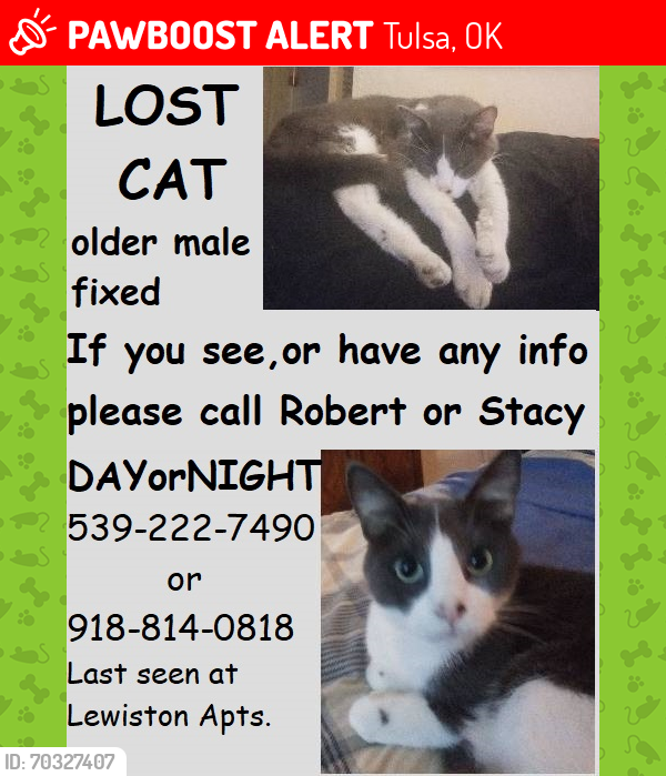 Tulsa, OK Lost Male Cat, Ralph Is Missing PawBoost
