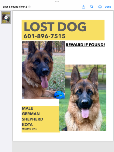 Lost Male Dog last seen Cleary lake Florence ms. , Florence, MS 39073