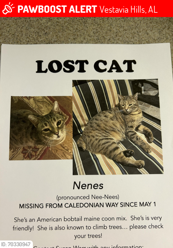Lost Female Cat last seen Liberty Park—Tartan Glen, Vestavia Hills, AL 35242