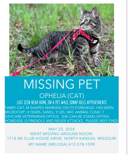 Lost Female Cat last seen William E. Macken Park, North Kansas City, MO 64116