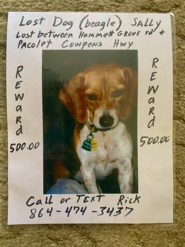 Lost Female Dog last seen Pacolet Cowpens Highway , Hammett Grove Rd, SC 29307