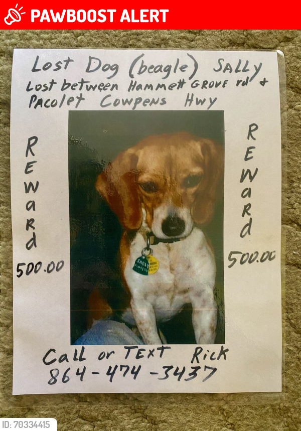 Lost Female Dog last seen Pacolet Cowpens Highway , Hammett Grove Rd, SC 29307