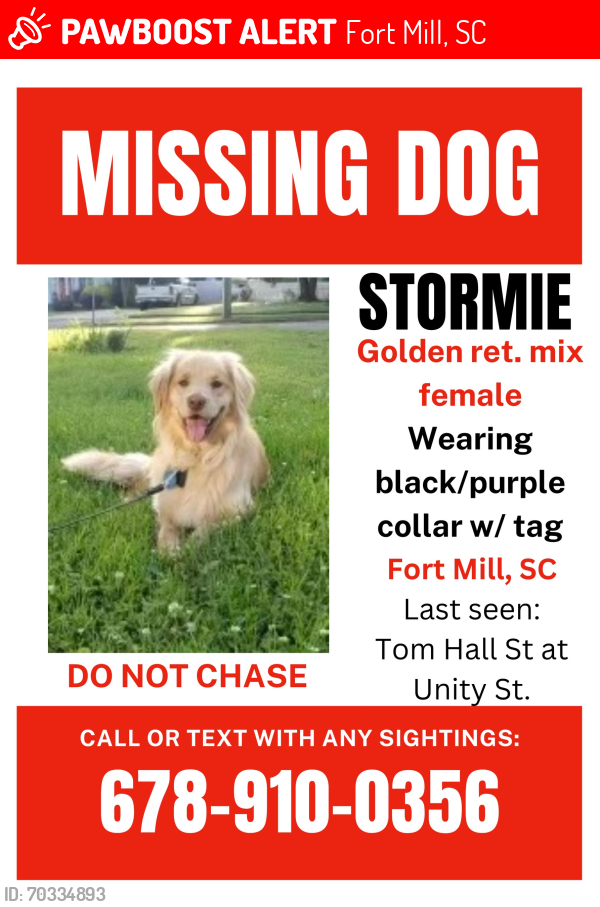 Lost Female Dog last seen Williamson Street approaching Banks Street , Fort Mill, SC 29715