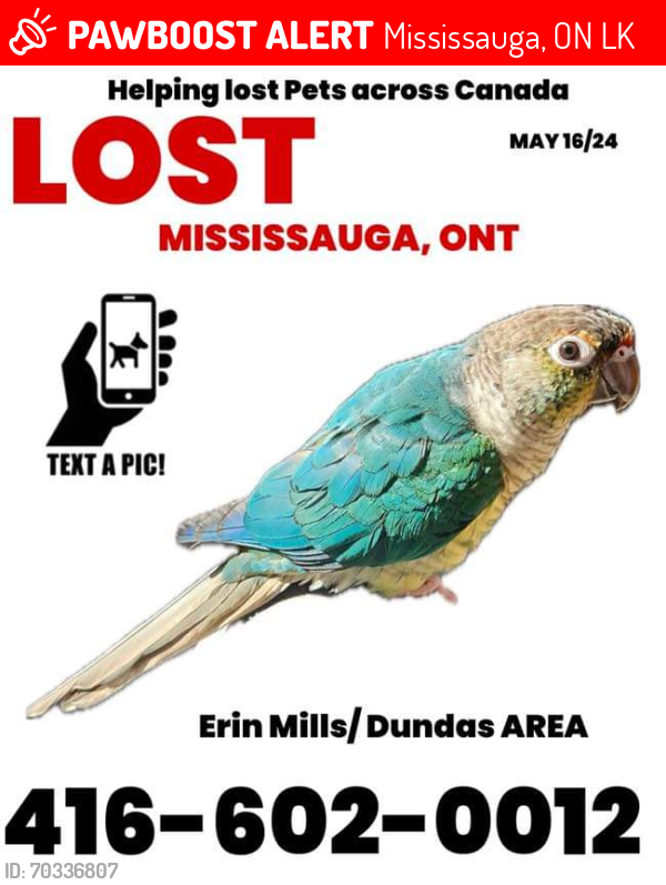 Lost Unknown Bird last seen Sherwood Forrest Circle , Mississauga, ON L5K