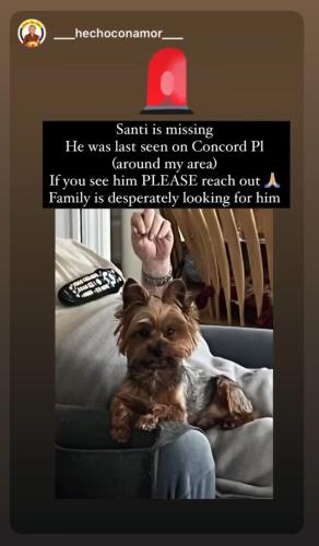 Lost Male Dog last seen St Catherine’s Church , Elizabeth, NJ 07208