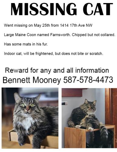 Lost Male Cat last seen Near 17th AVE NW, Calgary, AB T2M 0R3