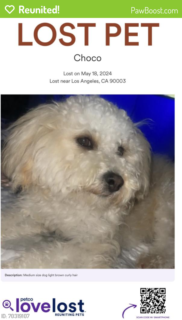 Reunited Male Dog last seen Main & San Pedro , Los Angeles, CA 90003