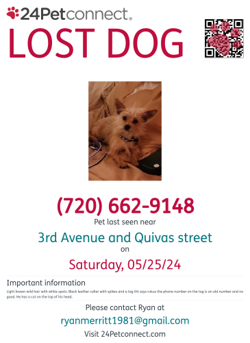 Lost Male Dog last seen 3rd and quivas, Denver, CO 80204