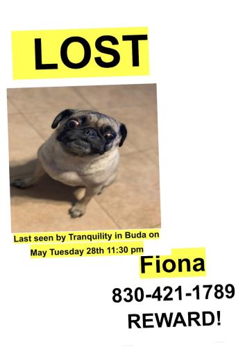 Lost Female Dog last seen Near , Buda, TX 78610