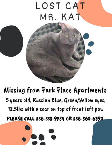 Lost Male Cat last seen Boaz Alabama , Boaz, AL 35957