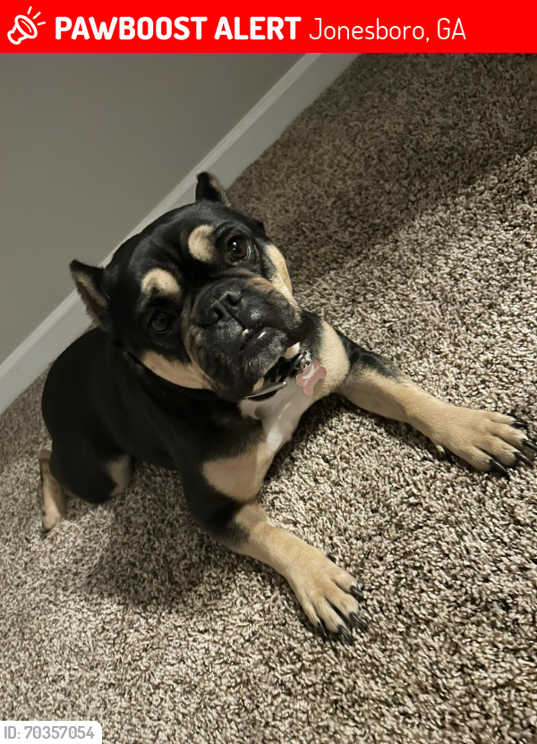 Lost Female Dog last seen Crestwicke Crossing , Jonesboro, GA 30236