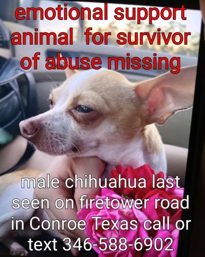 Lost Male Dog last seen Walker, Montgomery County, TX 77306