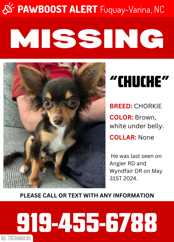 Lost Male Dog last seen Angier Rd. and Wyndfair Dr. Fuquay-Varina, NC, Fuquay-Varina, NC 27526