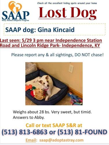 Lost Female Dog last seen Lincoln Ridge Park, Independence, KY 41051