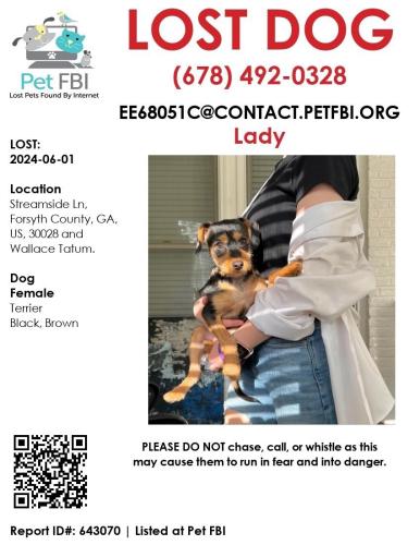Lost Female Dog last seen Matt Elementary and Wallace Tatum, Forsyth County, GA 30028